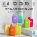 FLUM PEBBLE 6000PUFFS